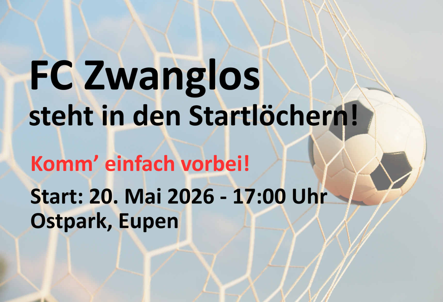 FC Zwanglos Web