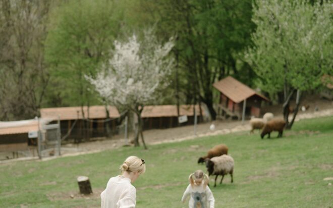 pexels-anastasia-shuraeva-7673802