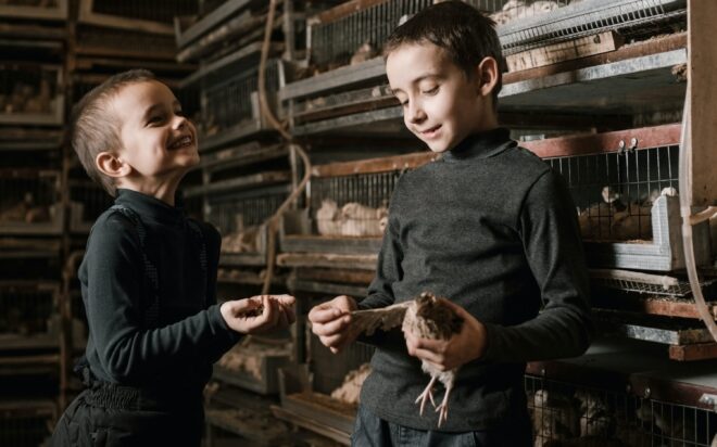 pexels-arthouse-studio-4530398