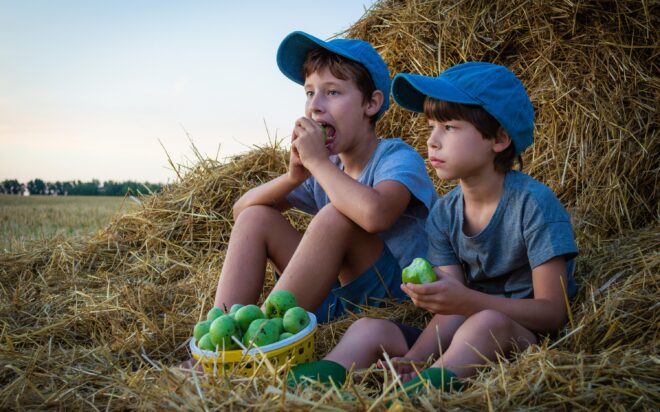 pexels-files-9180437