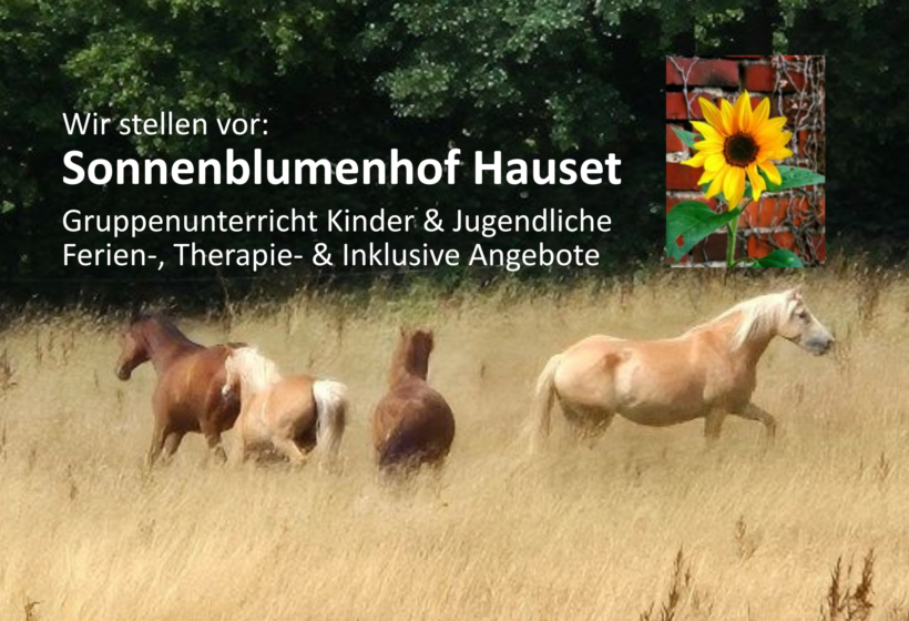 Sonnenblumenhof Hauset