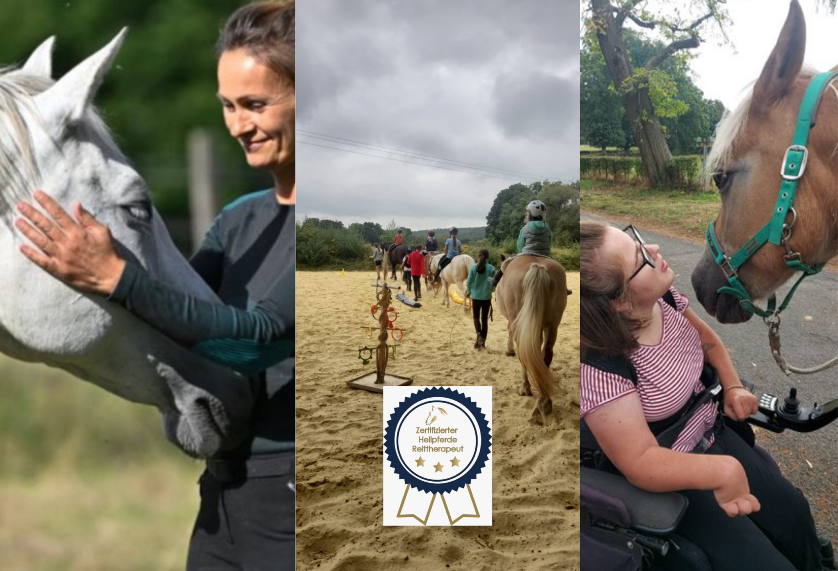 Sonnenblumenhof_2 web