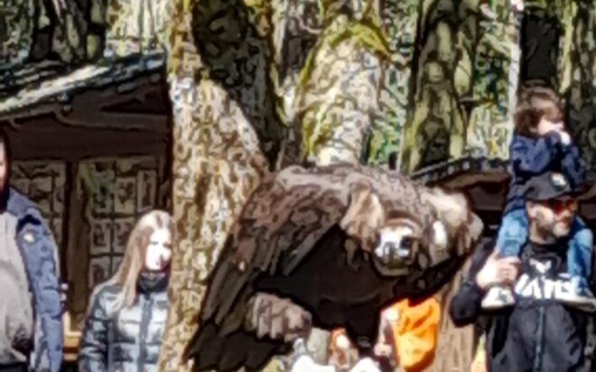 WhatsApp Bild 2025-04-06 um 14.49.06_99d44fa6