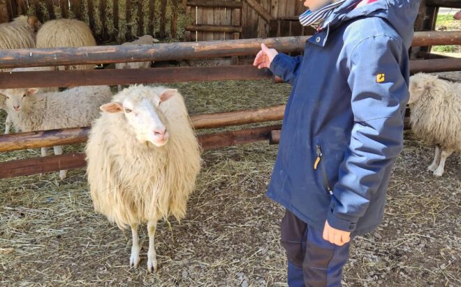 WhatsApp Bild 2025-04-06 um 16.40.32_42f9766c