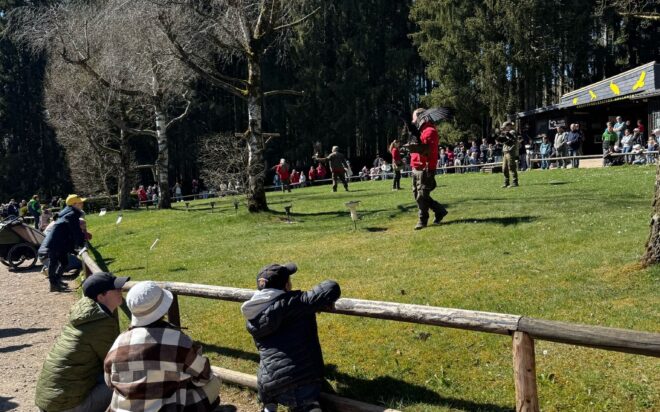 WhatsApp Bild 2025-04-06 um 19.59.11_f0e8f8b5