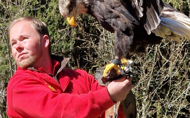 WhatsApp Bild 2025-04-06 um 20.01.01_339d4176