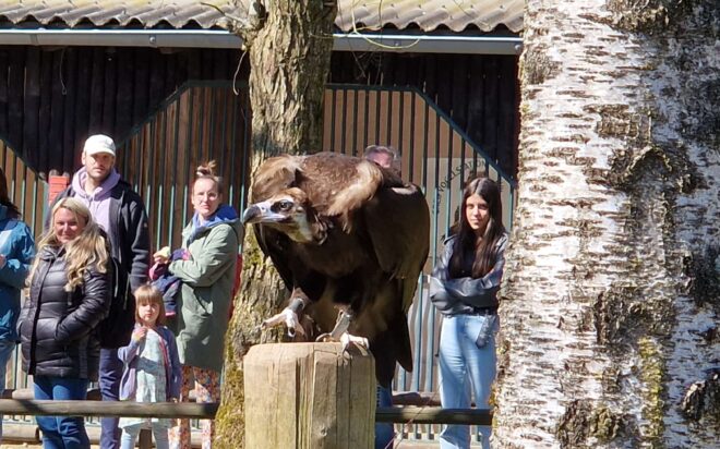 WhatsApp Bild 2025-04-06 um 20.01.01_418ff3d3