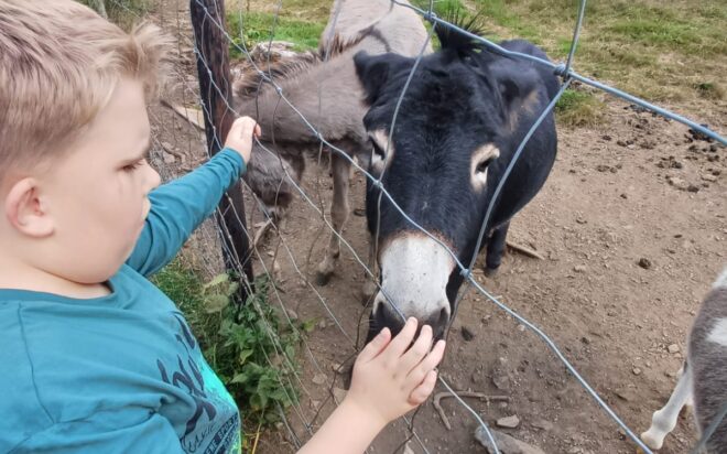 WhatsApp Bild 2025-08-21 um 20.10.04_6ca7d9fd