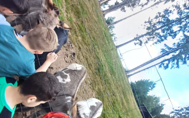 WhatsApp Bild 2025-08-21 um 20.10.05_851e36ff