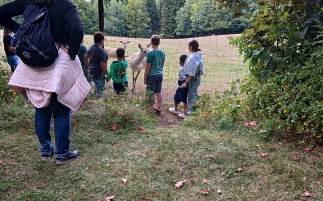 WhatsApp Bild 2025-08-21 um 20.10.05_e7e757ff